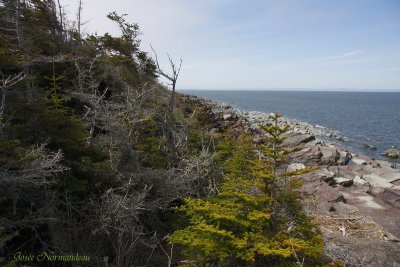 plage nord 6919.jpg