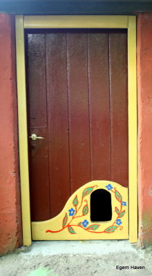 Cat door
