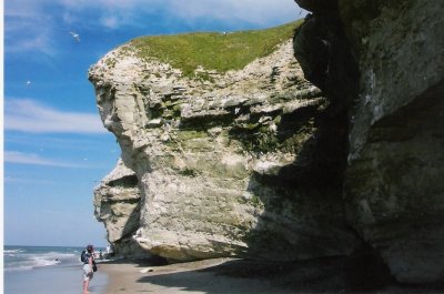 Bulbjerg. vestkysten ( Danmark )