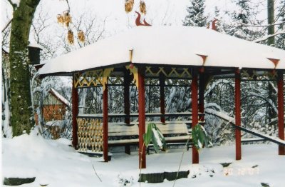 Kinesisk tehus i snevejr.