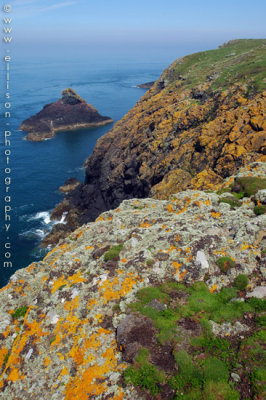 Skomer Island