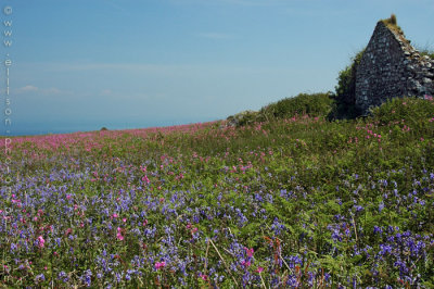 Skomer Island