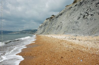 Charmouth Beach