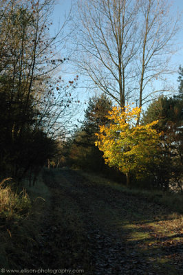 Amsterdamse Waterleiding Duinen