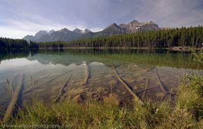 Opposite Peyto Lake, looking back towards Bow Lake