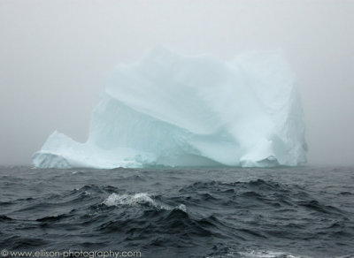Iceberg near Twillingate