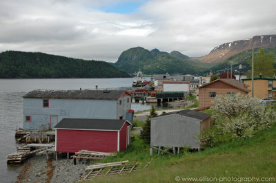 Village of Woody Point