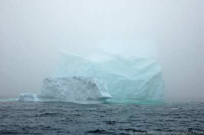 Iceberg near St Anthony