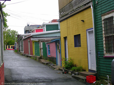 Jellybean houses in back alley