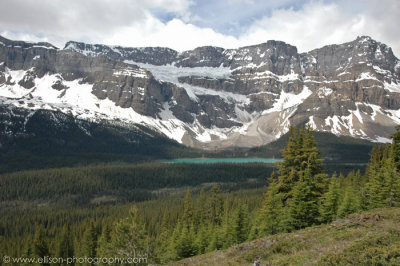 Crowfoot Glacier on Crowfoot Mountain, south end of Bow Lake
