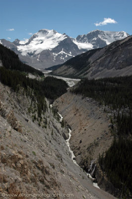 Sunwapta River and Athabasca Mountain