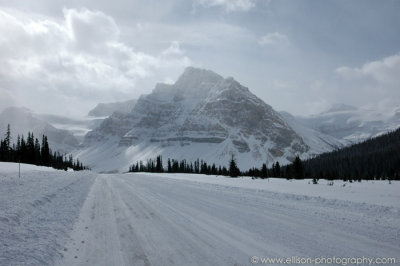 Looking back south to Crowfoot Mountain