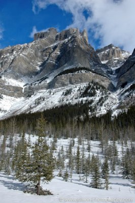 Mount Coleman