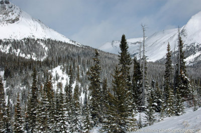 g1/22/867822/3/105853144.ESHmGafa.jpg