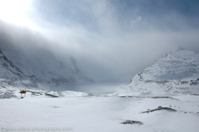 Athabasca Glacier