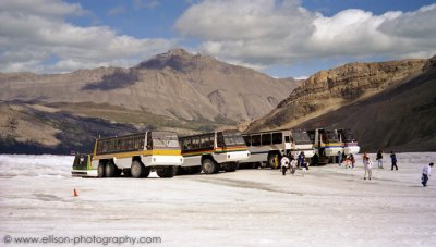 Brewster Snocoaches on the Athabasca Glacier