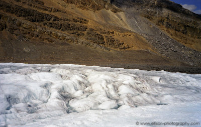 On the Athabasca Glacier