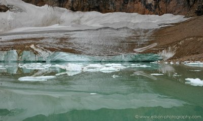 Cavell Glacier & Pond