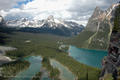 View of Mary Lake and Lake O'Hara from Opabin Prospect