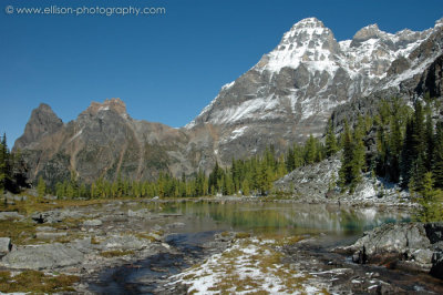 Opabin Plateau: Wiwaxy Peaks and Mount Huber