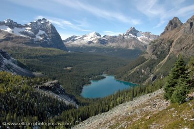 View of Odaray Mountain, Mount Stephen, Cathedral Mountain and Wiwaxy Peaks over Lake O'Hara from Yukness Ledges