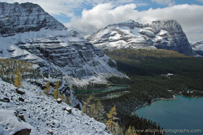 Mount Shaeffer and Odaray Mountain