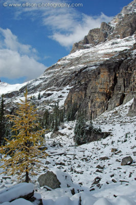 Lake Oesa Trail