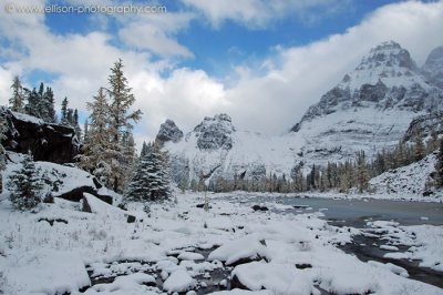 Opabin Plateau: Wiwaxy Peaks and Mount Huber