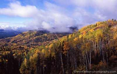 Autumn colours along the Alaska Highway