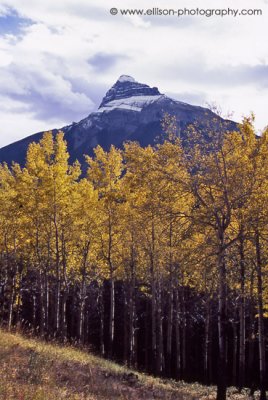 Pilot Mountain - Bow Valley Parkway