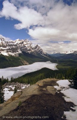 Peyto Lake