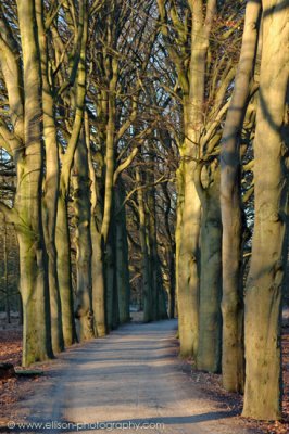 Amsterdamse Waterleiding Duinen