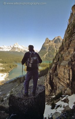 Looking back at Lake o'Hara from the West Opabin trail