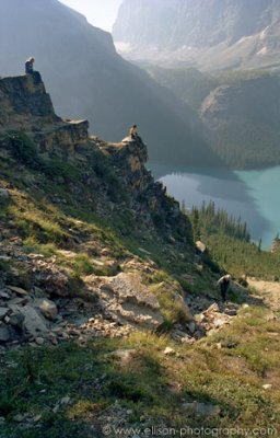 A rest to take in the views