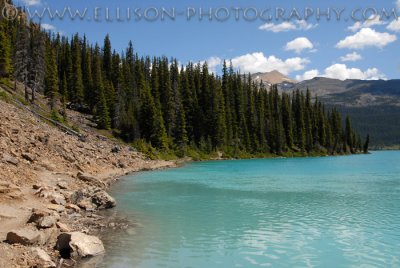 Bow Lake