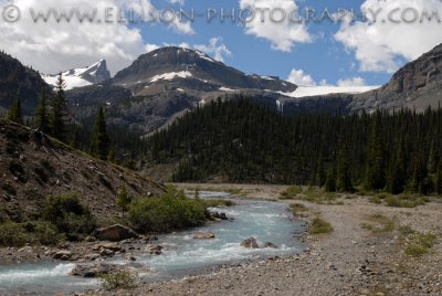 Bow Glacier Falls trail