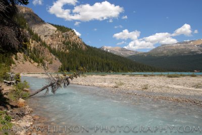 Bow Glacier Falls trail