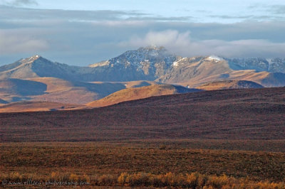 along the Dempster Highway