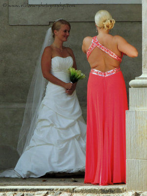 the bridesmaid's dress