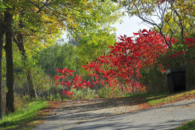 Humber Bay East Park