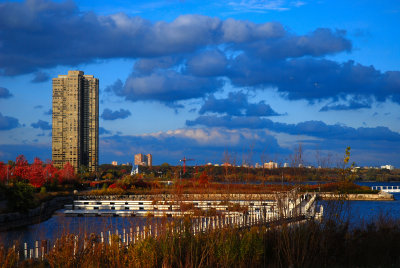 Along the Humber Bay Shore