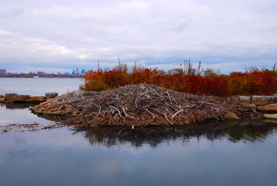 Beaver Lodge