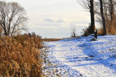 First Snow