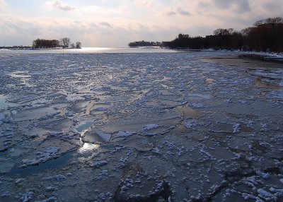 The Harbour Icing Up