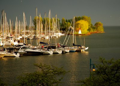 Harbour from the club