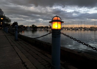 Harbour Lights