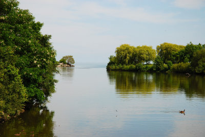 Mimico Creek Estuary