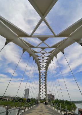 Humber Bay Bridge