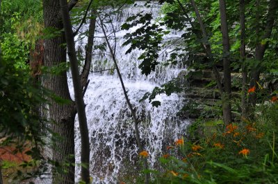 Waterdown Falls