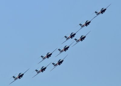 Canadian Snowbirds